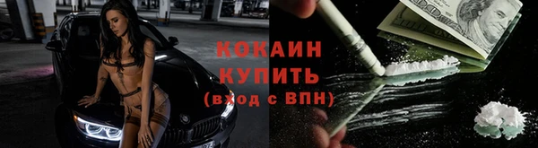 гидра Армянск