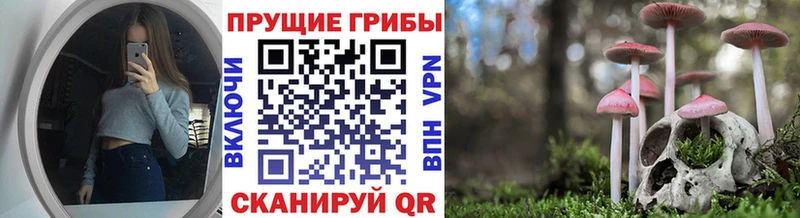 где купить наркоту  Фокино  Галлюциногенные грибы MAGIC MUSHROOMS 