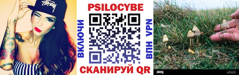 Галлюциногенные грибы Magic Shrooms Фокино